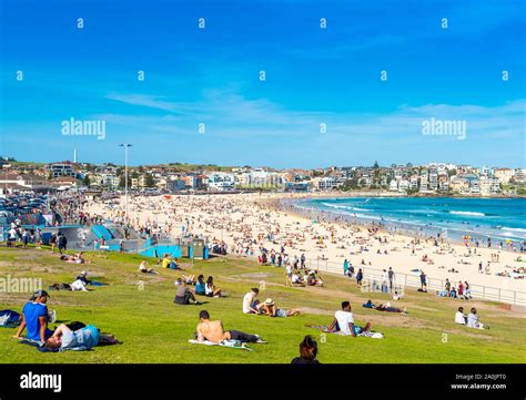 People Sunbathing On Bondi Beach Hi Res Stock Photography And Images