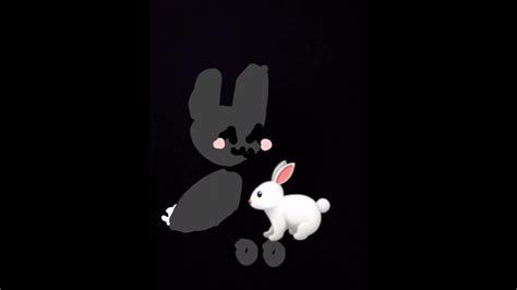 ghost bunny meet white bunny ghost bunny youtube