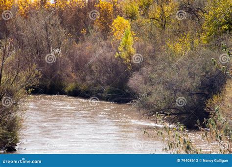 Fall Colors Along The Rio Grande In Albuquerque Stock Image Image Of