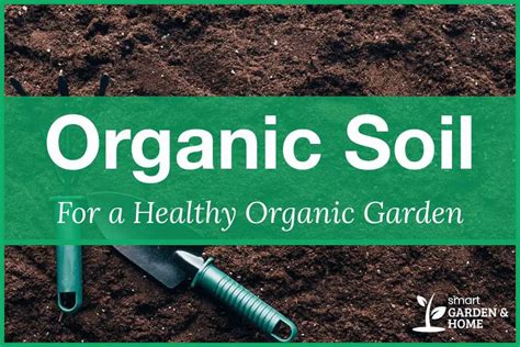 Organic Soil For A Healthy Organic Garden Smart Garden And Home