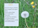 Glück - Zitat von Nicole Sunitsch | Gedicht glück, Glück zitate, Gedichte