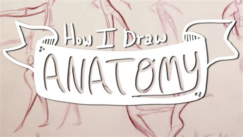 Simple Anatomy Drawing At Getdrawings Free Download