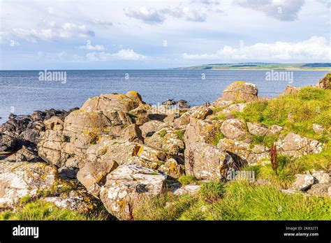 Lichen On Rocks At Machrihanish Bay On The Kintyre Peninsula Argyll