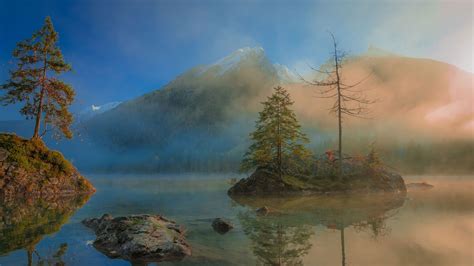 Wallpaper Trees Spruce Lake Mountains Fog