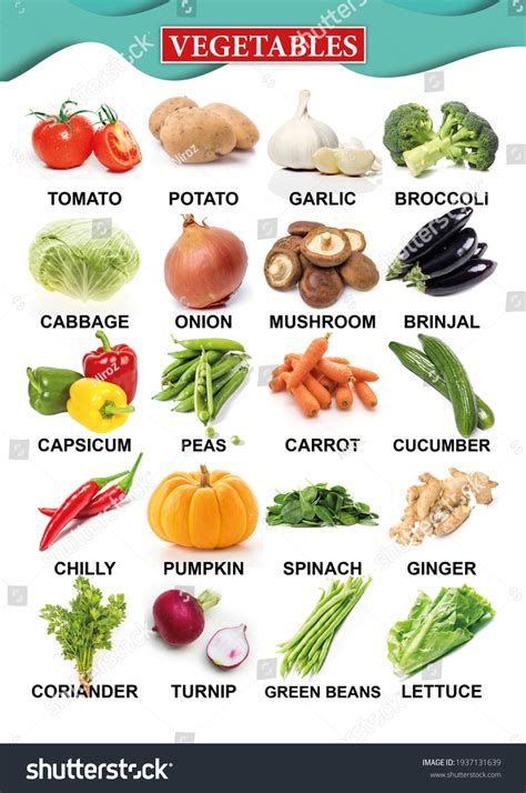 Vegetable Chart Kindergarten Kids Stock Photo 1937131639 Shutterstock