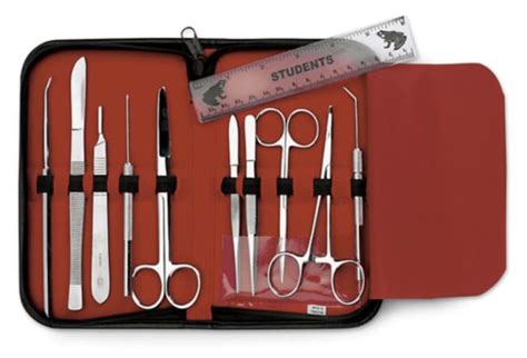 Fisherbrand University Level Anatomy Dissecting Kit High Grade