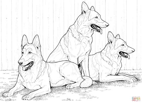 Gambar German Shepherd Dogs Coloring Page Free Printable Pages