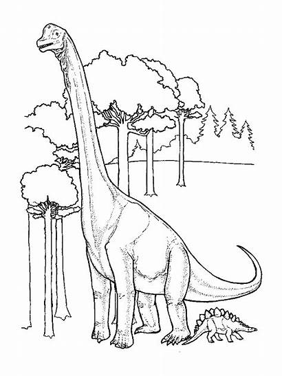 Dinosaur Birthday Ultimate Coloring Parties Kid Pages
