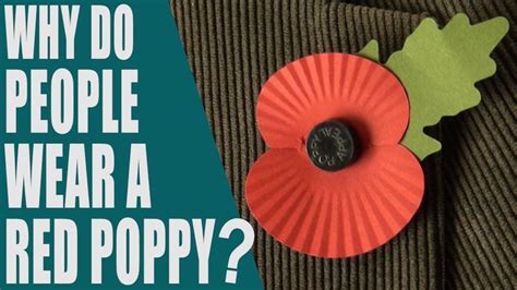 Why Do People Wear A Red Poppy What Is Poppy Day Rememberance Day