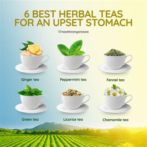 6 Best Herbal Teas For An Upset Stomach Best Herbal Tea Upset