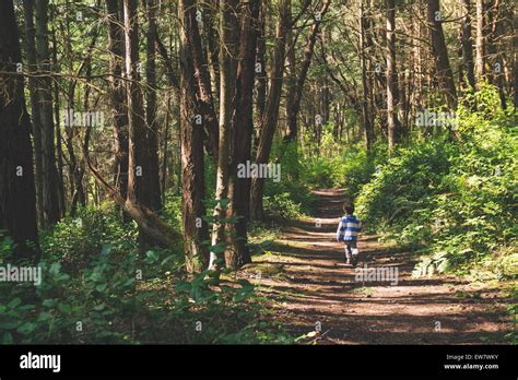 Boy Walking Through The Woods Stock Photo Alamy
