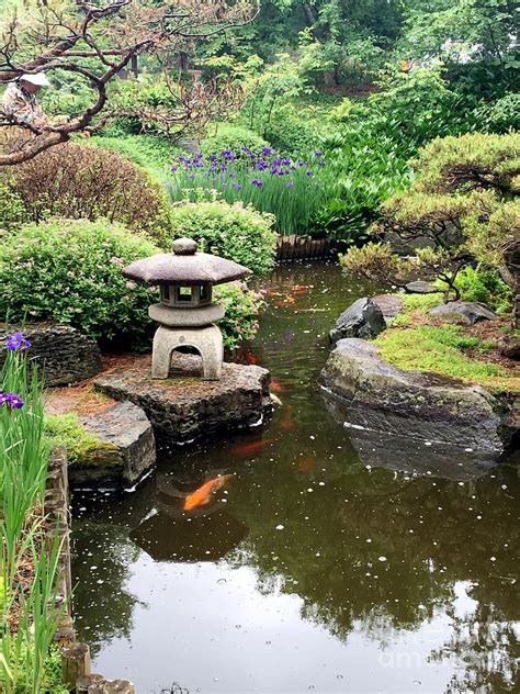 Koi Garden Photograph By Elizabeth Ren Fine Art America