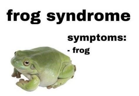 Frog Syndrome Symptoms Frog Meme Shut Up And Take My Money