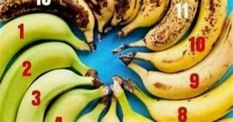 Perfect Banana Chart Dividing People Over Exactly When A Banana Is Ripe