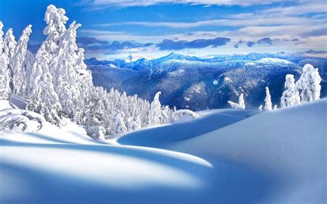 Free Download Beautiful Winter Scenery Wallpaper 1024x768 For Your