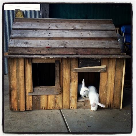 Pets can run freely underneath and quickly enter the raised housing area with. Rabbit Hutches Made from Pallets | Pallet Wood Projects