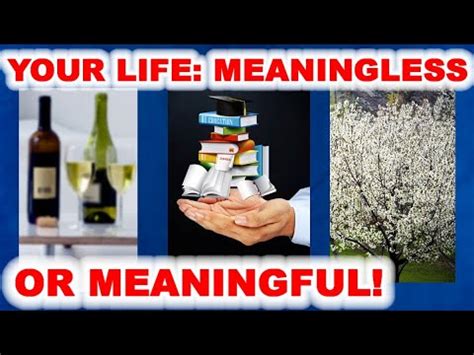 life meaningless  meaningful youtube