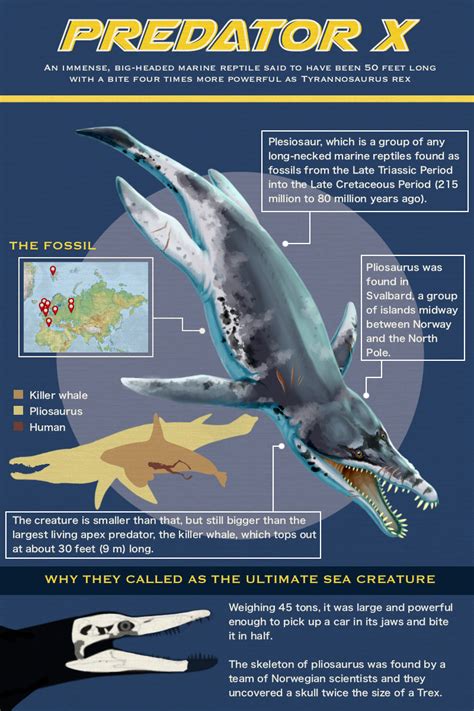 At 15 metres long and weighing about 45 tonnes, predator x was the most powerful marine reptile ever discovered. Predator X, Ultimate Sea Monster: Is It really Lethal Than ...