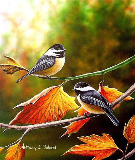 Fall Chickadees Painting By Anthony J Padgett Fine Art America