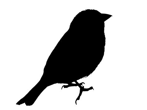 Digital Silhouettes Of Birds Svg File