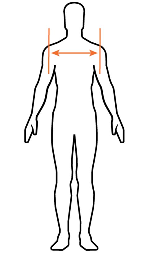 Across shoulder across back 8 from hps. Body Measurements | Kirk Frameworks