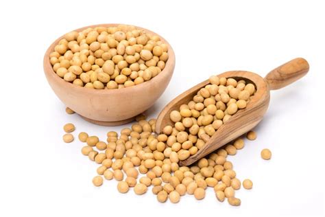 Top Grade Competitive Price 100 Natural Organic Soybean Dried Yellow