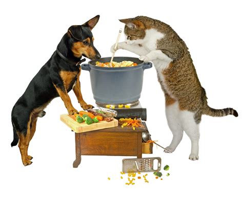 Cooking For Your Pet Friendship Hospital For Animals