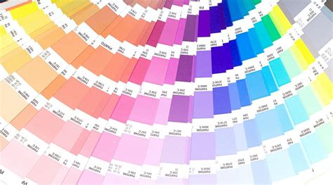 How To Choose The Right Colour Palette For My Business Color Brand