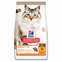 honeys Science Plan No Grain Chicken & Potato Dry Adult Cat Food From £16.59 | Waitrose Pet