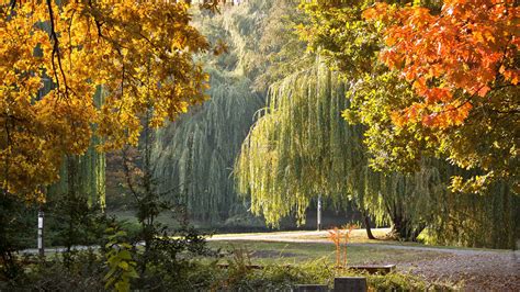Die 72 Besten Herbstlandschaft Hintergrundbilder