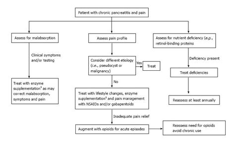 Management Of Pain In Chronic Pancreatitis With Emphasis On Exogenous