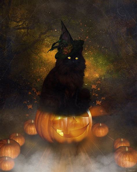 Halloween Art Halloween Cat By Tinca2 On Deviantart Retro Halloween