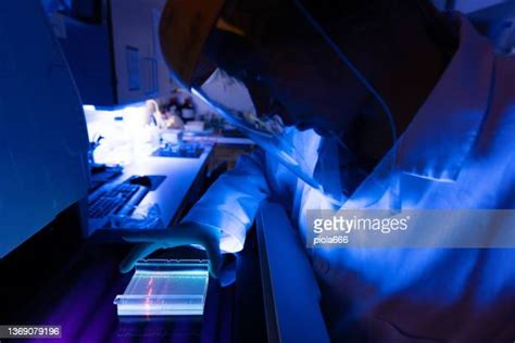 Dna Gel Sequencing Photos And Premium High Res Pictures Getty Images