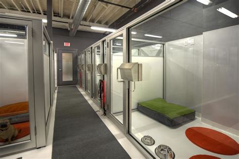 Love These Kennels In 2022 Dog Boarding Kennels Dog Daycare Dog Hotel