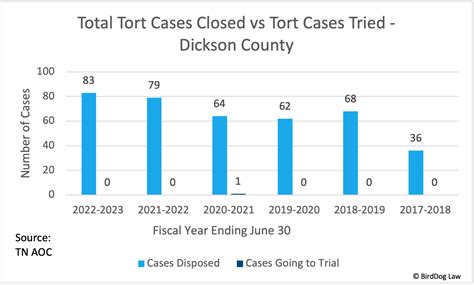 Dickson County Tort Case Statistics and Outcomes - July 1, 2017- June