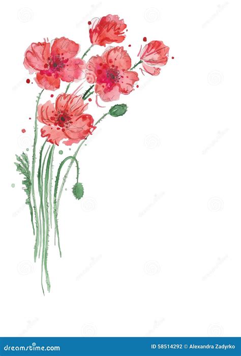 Abstract Watercolor Art Hand Drawn Background With Red Poppies Vector