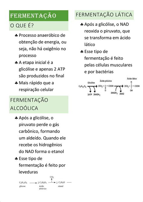 Mapas Mentais Sobre FermentaÇÃo Study Maps