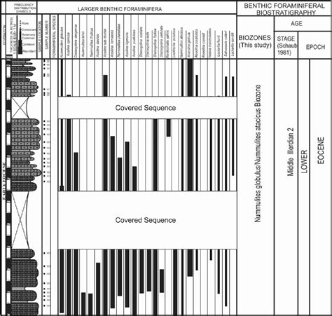 Pdf Biostratigraphy And Depositional Environments Of The Early Eocene