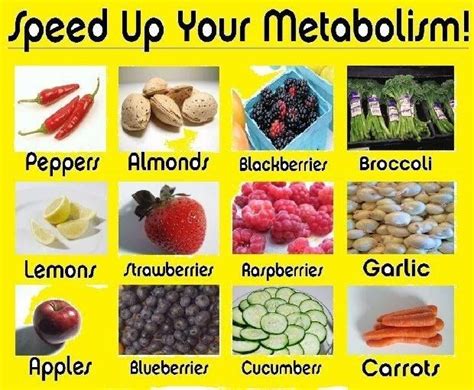Speed Up Your Metabolism Foods You Need To Know Musely