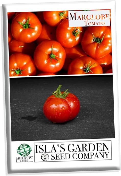 Marglobe Heirloom Tomato Seeds 500 Seeds Per Packet