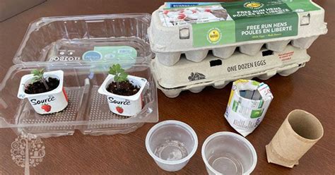 How To Upcycle Common House Hold Items Into Seed Starting Containers