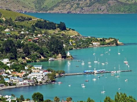 Christchurch Akaroa Day Tour And Cruise Distant Journeys