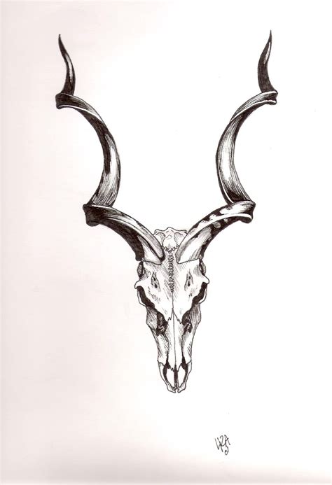 Greater Kudu Skull In Ink By Woosie Animal Skull Tattoos Small Skull