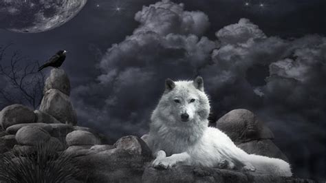 46 Wolf Wallpaper For Kindle Fire