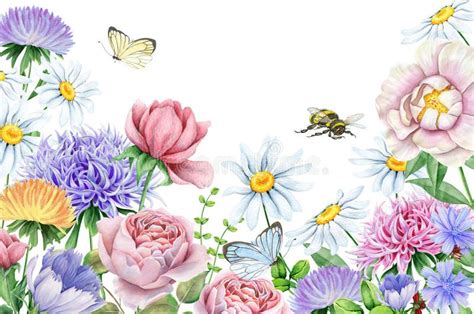 Watercolor Flowers And Butterflies And Bee On White Stock Illustration