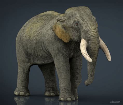 But before you get started, let's go over the basics first: 20 Realistic 3D Animal Models and character designs