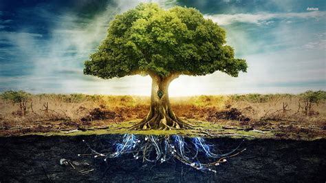 Tree Of Life Jason Matias Fine Art Hd Wallpaper Pxfuel