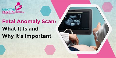 What Is Fetal Anomaly Scan And Its Importance Parvathi Hospital