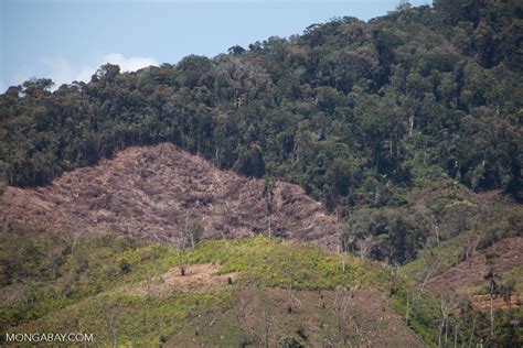 Deforestation Near Ranomafana Madagascar5584