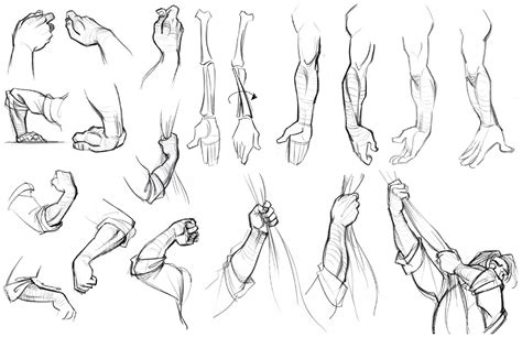 Drawing reference to draw muscles step art of animation design. Character and Creature Design Notes: Hand Reference, Part Three